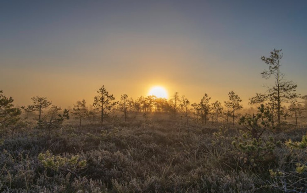 夢見夜晚到清晨 ：6 個意義和象徵