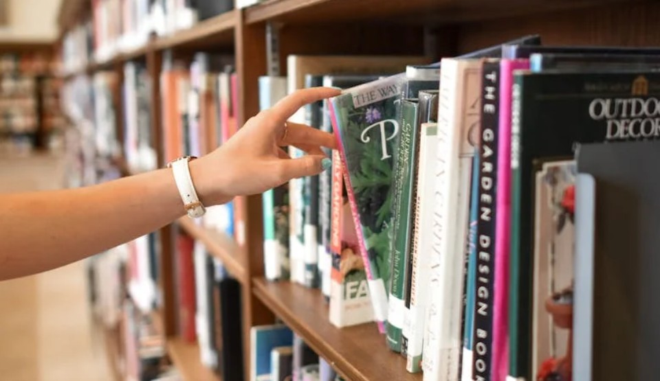 夢見在圖書館工作：9 個意義和象徵