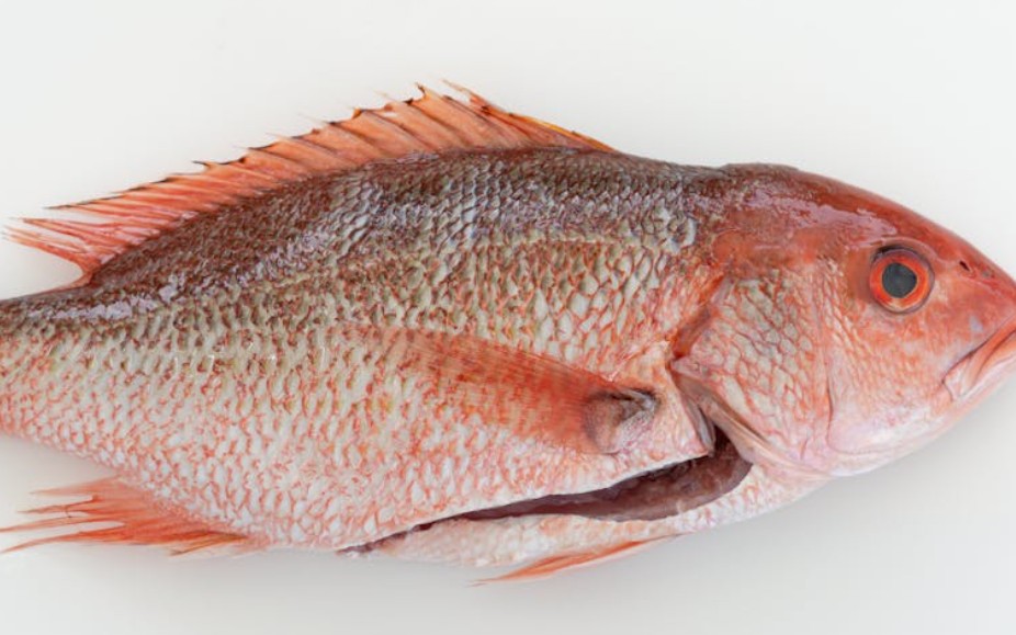 夢見鯛魚刺身：6 個意義和象徵