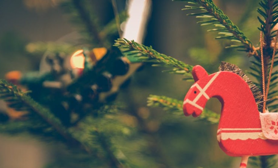 夢見神聖之樹 ：6 個意義和象徵