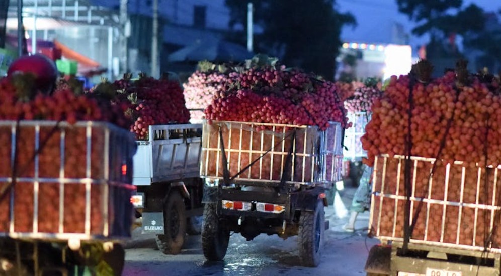 夢見黎明：9 個意義和象徵