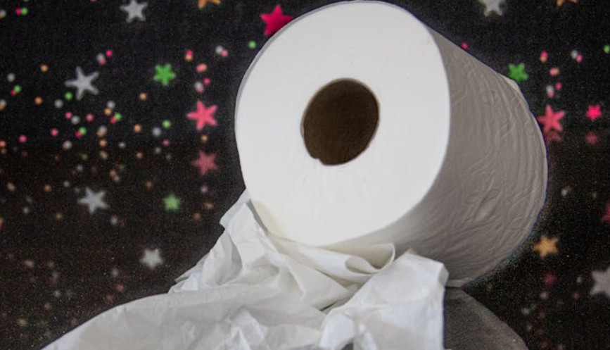 夢見馬桶的衛生紙不流動：7 個意義和象徵