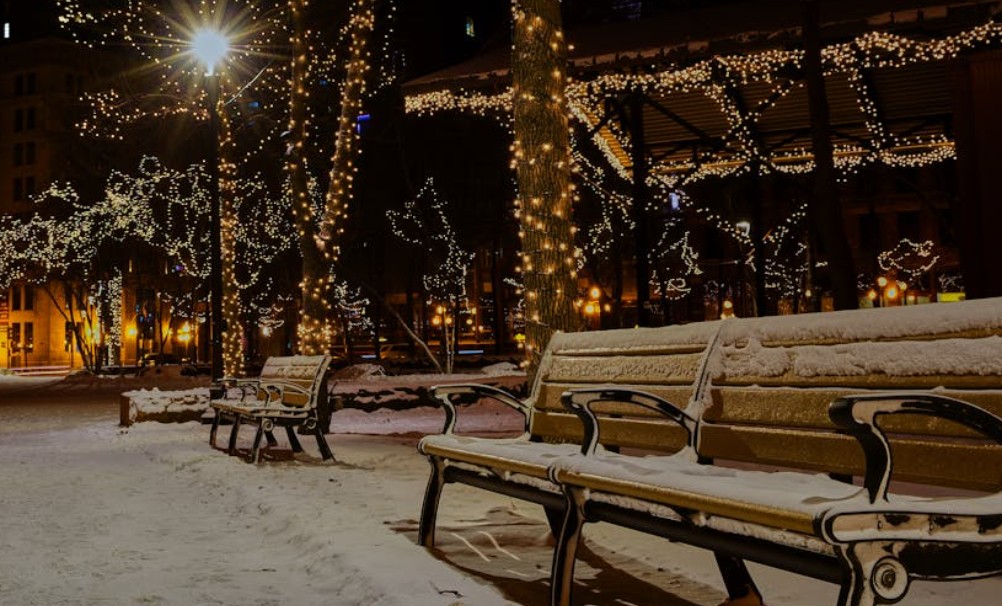 夢見夜晚的公園:9 個意義和象徵 夢見夜晚的公園:9 個意義和象徵