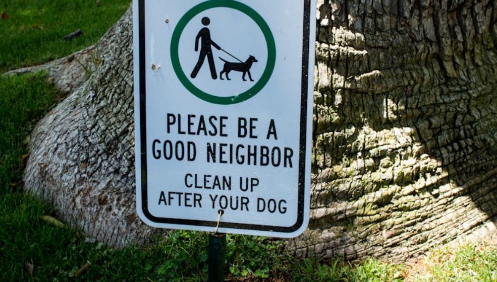 夢見丟棄大便的 9 個夢境解釋：夢見吃大便、夢見踩到大便