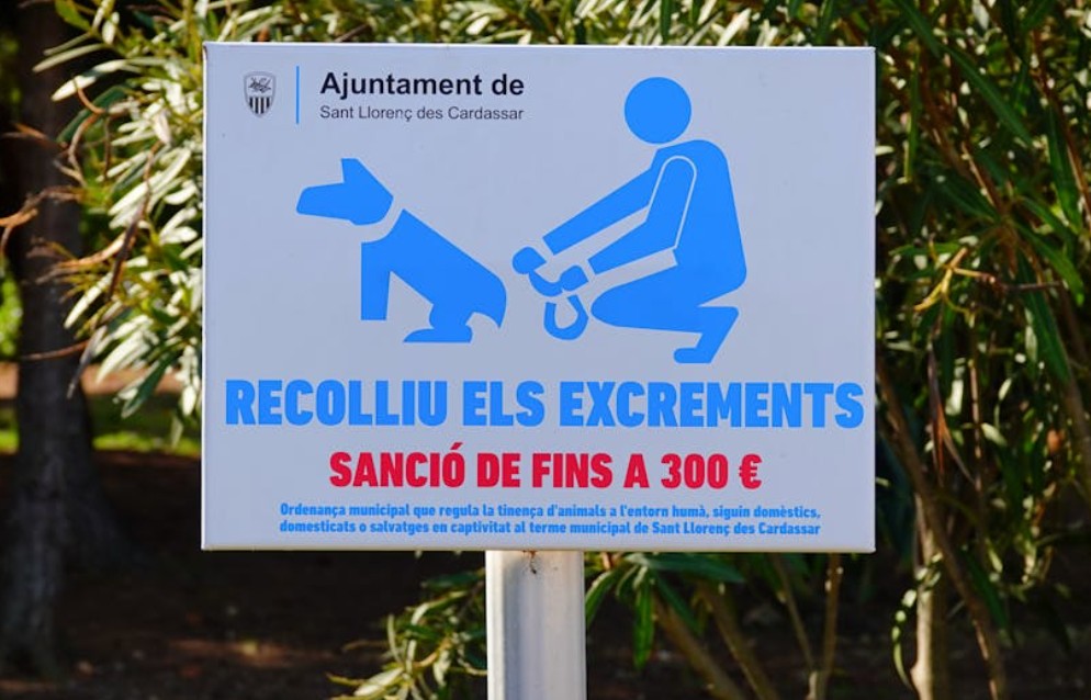 夢見大便的地方的 9 個夢境解釋： 夢見找不到廁所大便、夢見看到別人在大便