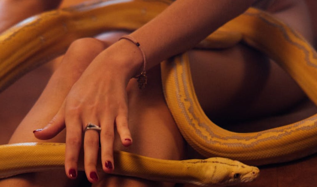 夢見被蛇咬手臂的 9 個夢境解釋：夢見抓蛇、夢見被蛇追逐