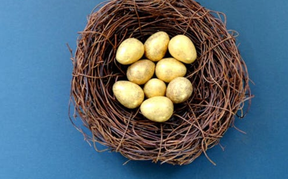 夢見蜥蜴蛋：8 個意義和象徵