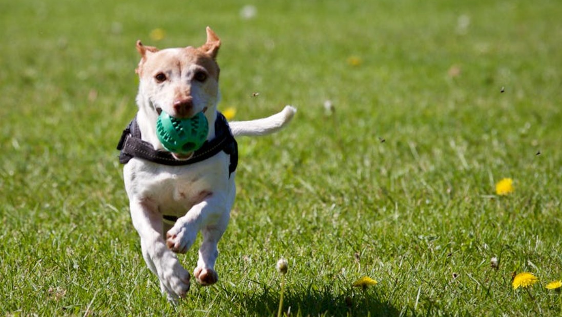 夢見臨時取消 ：7 個意義和象徵