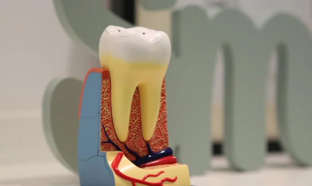 夢見牙齒脫落的 9 個夢境解釋：夢見因蛀牙而感到疼痛 、夢見治療蛀牙