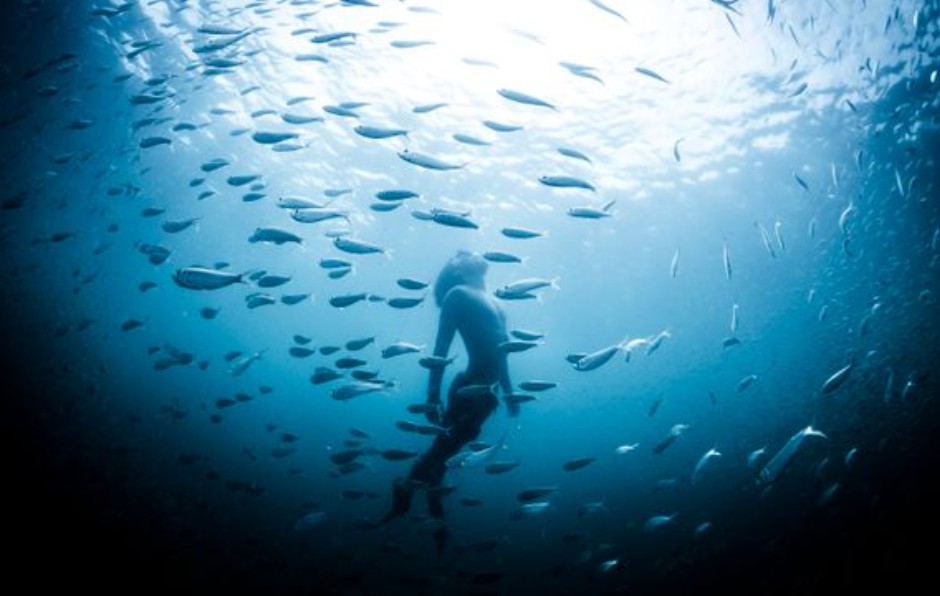 夢見成為美人魚並游泳 :5 個意義和象徵 夢見成為美人魚並游泳 :5 個意義和象徵
