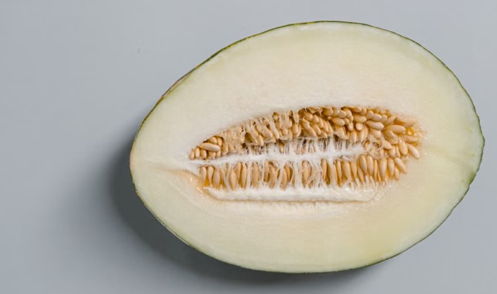 夢見哈密瓜糕是什麼意思?意義和象徵、心理狀態、情境解讀 夢見哈密瓜糕是什麼意思?意義和象徵、心理狀態、情境解讀